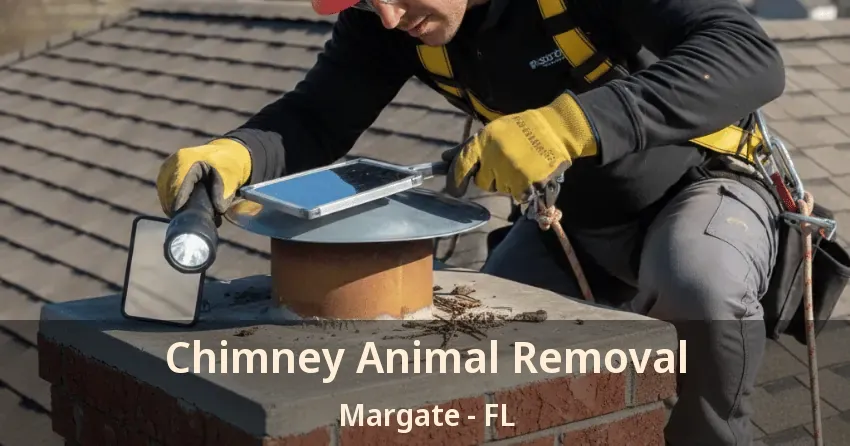Chimney Animal Removal Margate - FL Chimney Animal Removal Margate - FL