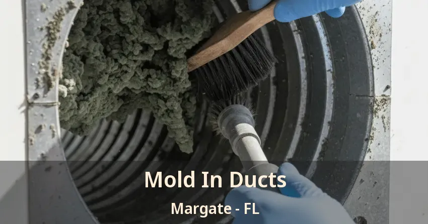 Mold In Ducts Margate - FL Mold In Ducts Margate - FL