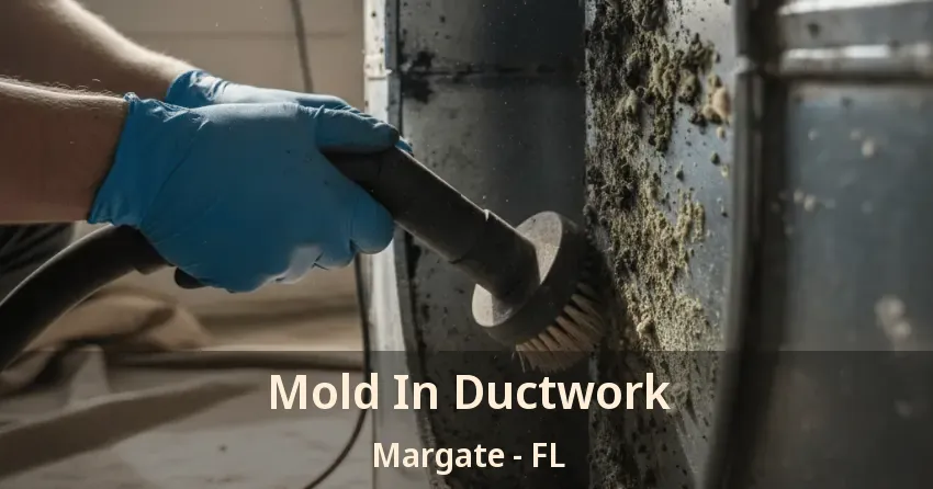 Mold In Ductwork Margate - FL Mold In Ductwork Margate - FL