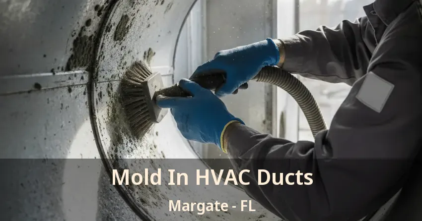 Mold In HVAC Ducts Margate - FL