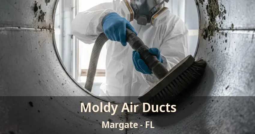 Moldy Air Ducts Margate - FL